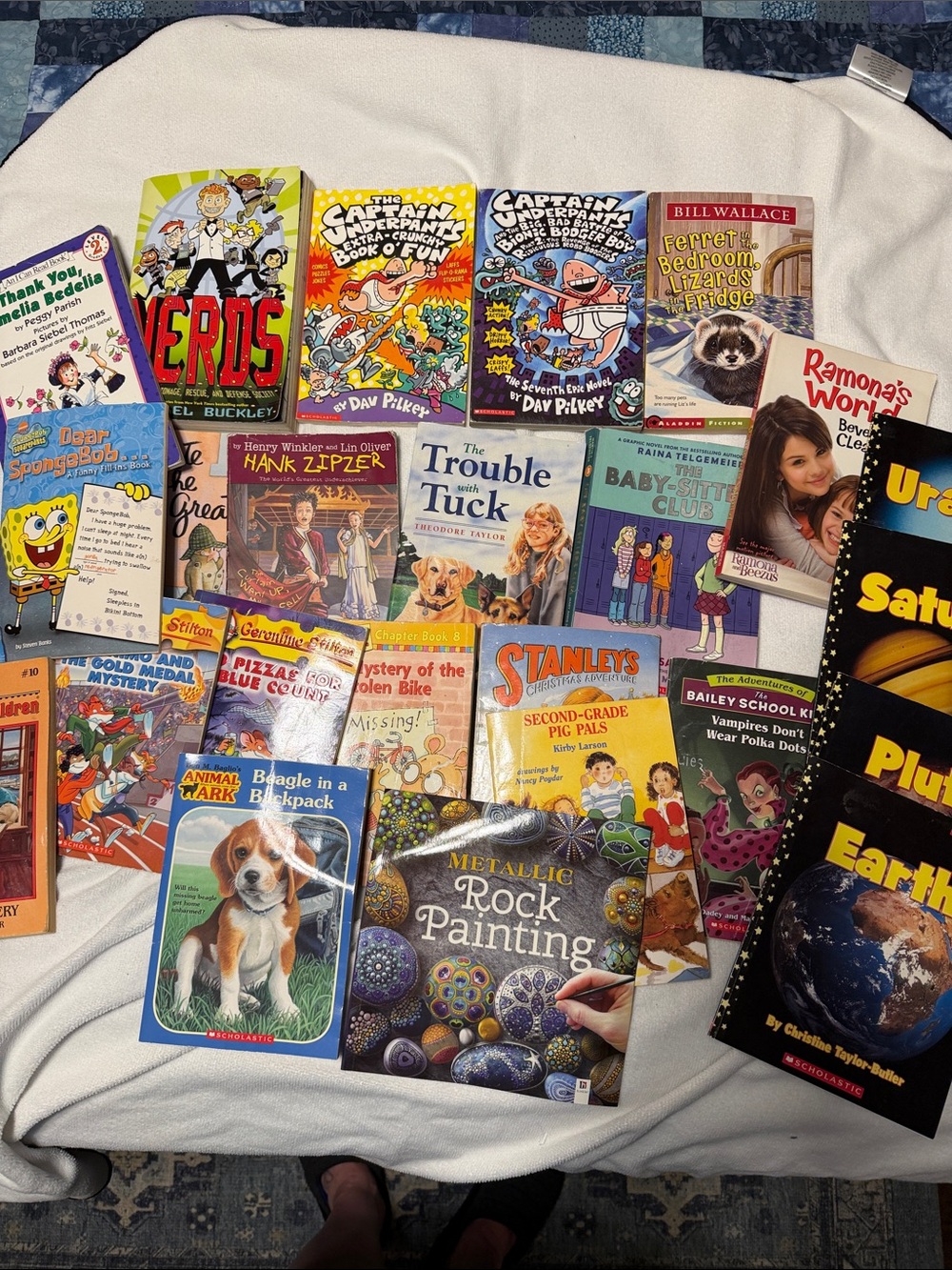Scholastic early reader book lot. 24 books